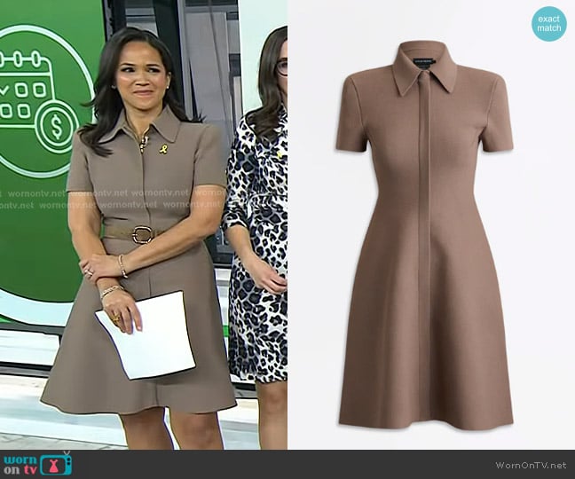 Laura’s brown collared short sleeve dress on Today