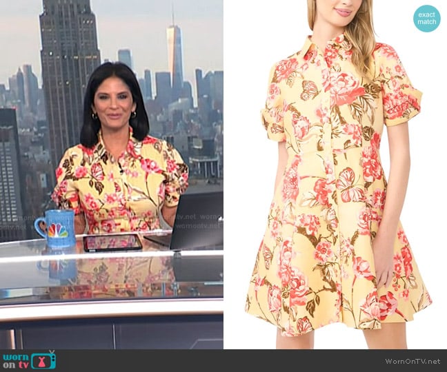 Darlene’s yellow floral shirtdress on Today