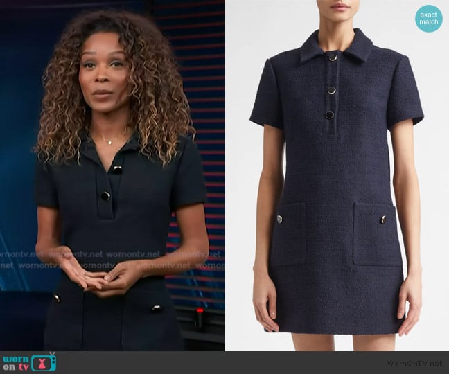 Zuri’s navy mini flare dress on Access Hollywood