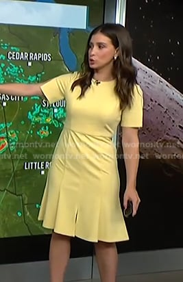 Angie Lassman’s yellow short sleeve dress on NBC News Daily
