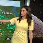 Angie Lassman’s yellow short sleeve dress on NBC News Daily