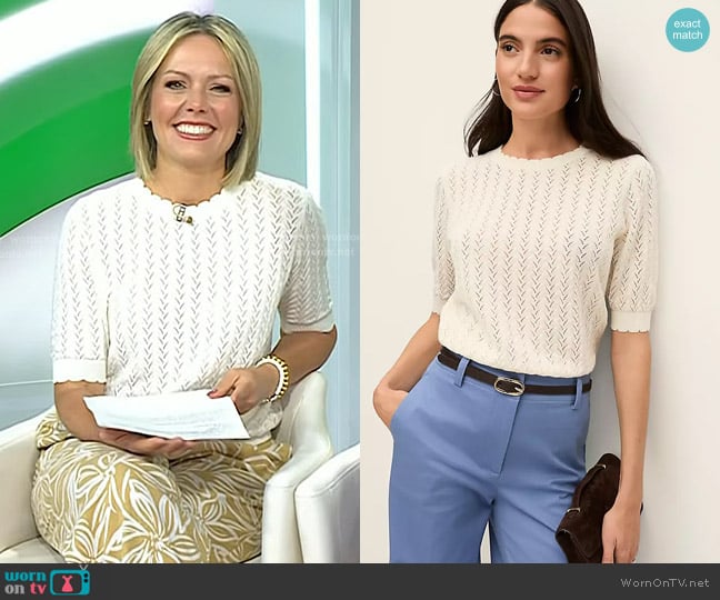 Ann Taylor Pointelle Sweater Tee in Winter White worn by Dylan Dreyer on Today