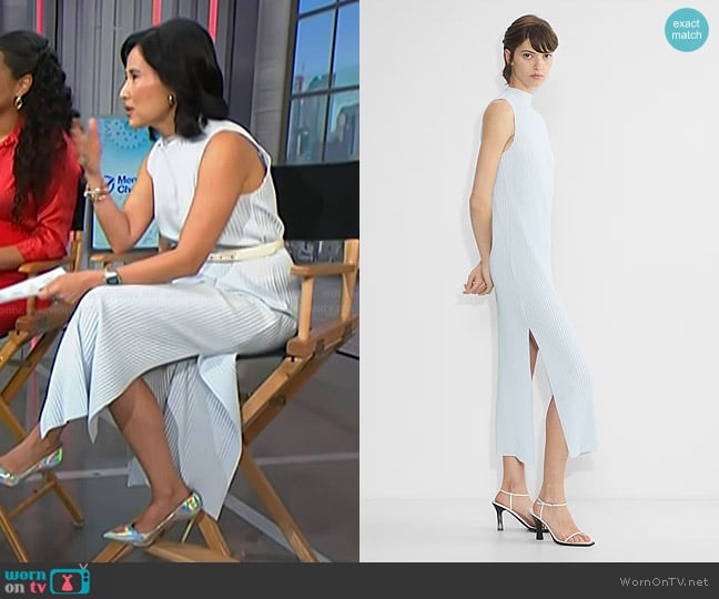 Babaton Optimize Dress in glimmer worn by Vicky Nguyen on NBC News Daily