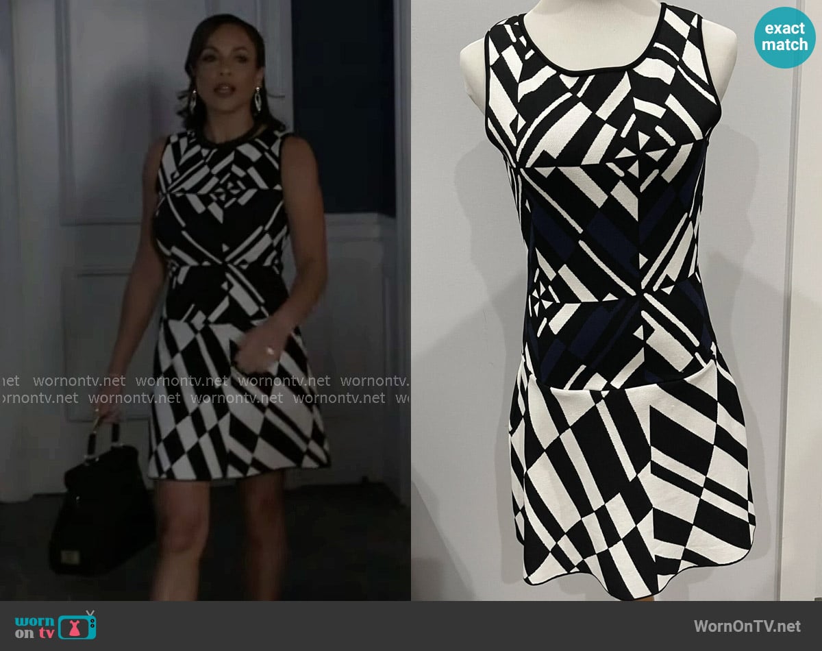 Bcbgmaxazria Jo Dress worn by Nicole Dupree Richardson (Daphnee Duplaix) on Beyond the Gates