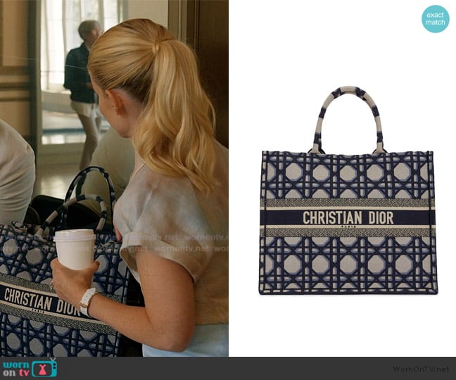 Dior Dior Book Tote Bag worn by Nancy (Kate Mara) on Imperfect Women