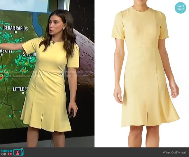 Donna Morgan Flare Dress in Yellow worn by Angie Lassman on NBC News Daily
