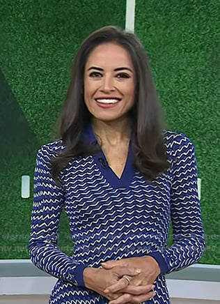 Kaylee’s blue printed polo dress on Today