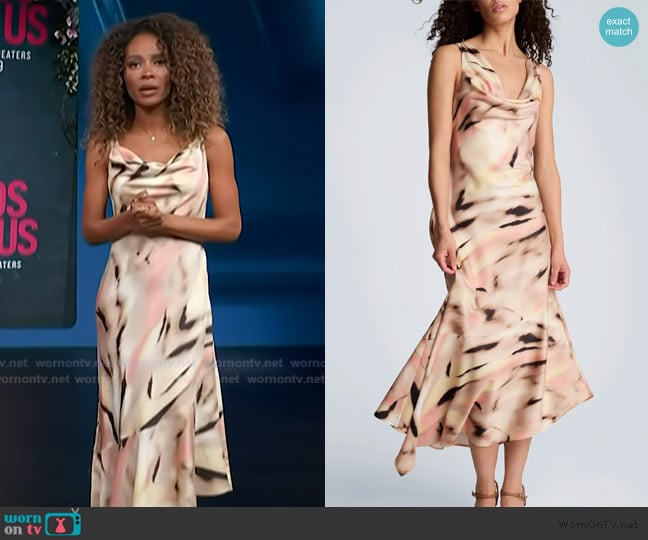 Zuri’s abstract print dress on Access Hollywood