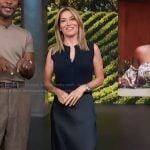Kit's navy vest and satin skirt on Access Hollywood