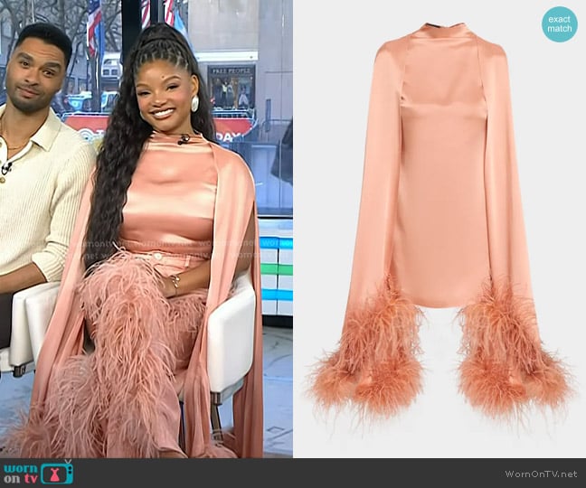 Lapointe Feather Trim Satin Cape Sleeve Mini Dress in Dune worn by Halle Bailey on Today