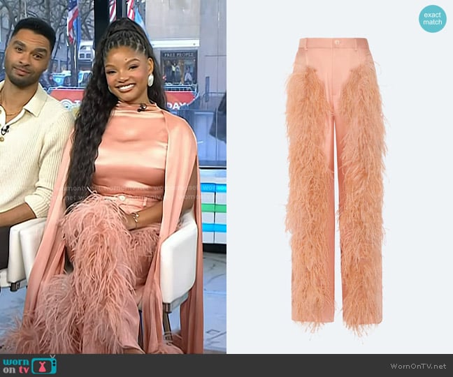 Lapointe Silky Twill Relaxed Pleated Pant With Feathers in Dune worn by Halle Bailey on Today