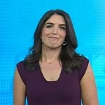 Liz’s purple pleated dress on Today