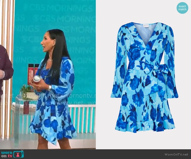 Elizabeth Werner’s blue floral dress on CBS Mornings