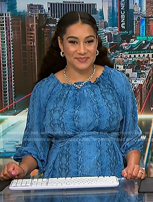 Morgan's blue snake print dress on NBC News Daily