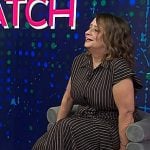 Rachel Dratch’s brown striped shirtdress on Today