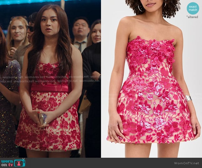 Retrofete Alira Lace Dress in Cerise worn by Katherine Song-Covey (Anna Cathcart) on XO Kitty