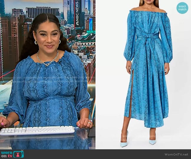 Scanlan Theodore Reptile Print Wrap Dress worn by Morgan Radford on NBC News Daily