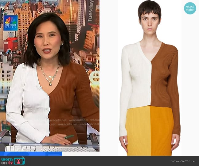 Staud Cargo Sweater in Brown and White worn by Vicky Nguyen on NBC News Daily