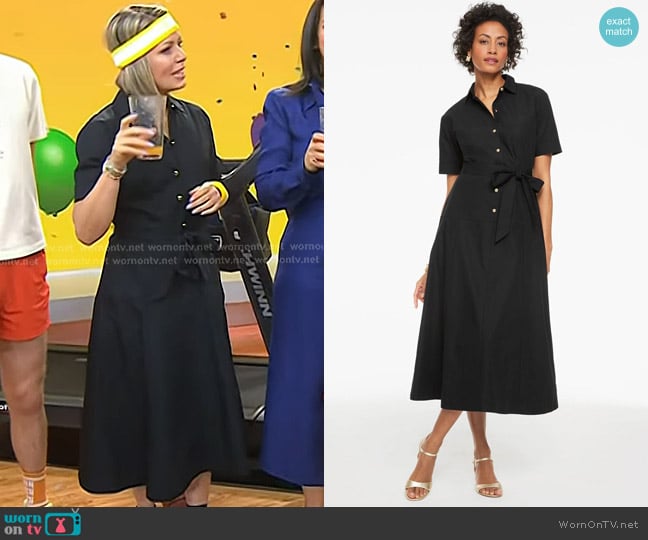 Talbots The Shirtdress For Success worn by Dylan Dreyer on Today