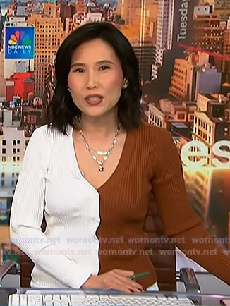 Vicky’s brown and white colorblock cardigan on NBC News Daily