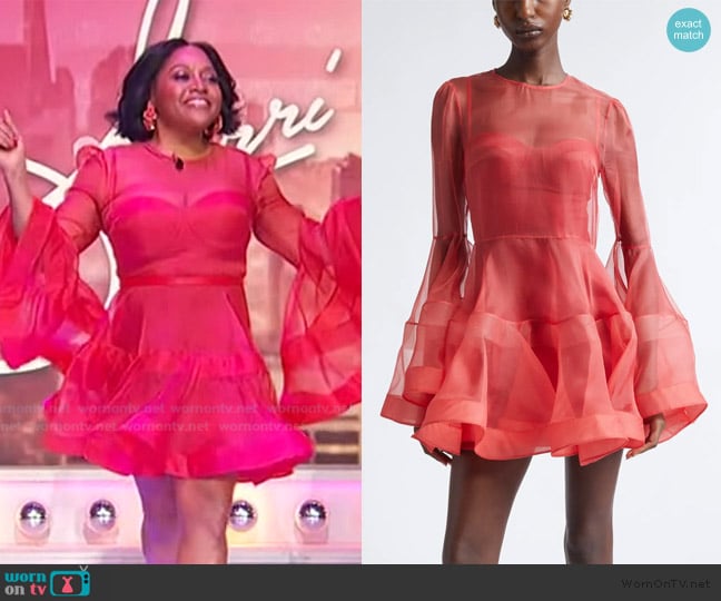 Zimmermann Rebellion Lantern Silk Organza Minidress worn by Sherri Shepherd on Sherri