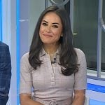 Kaylee's plaid polo dress on Today