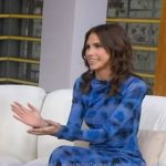 Sophie Flay’s blue check mesh dress on Good Morning America